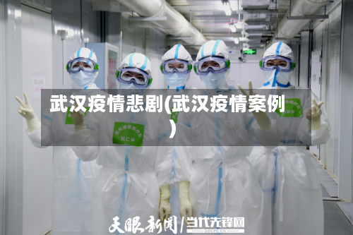 武汉疫情悲剧(武汉疫情案例)