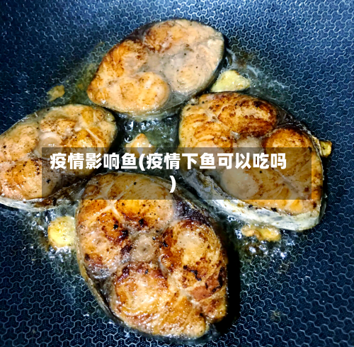 疫情影响鱼(疫情下鱼可以吃吗)