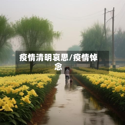 疫情清明哀思/疫情悼念
