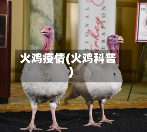 火鸡疫情(火鸡科普)