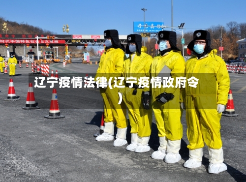 辽宁疫情法律(辽宁疫情政府令)