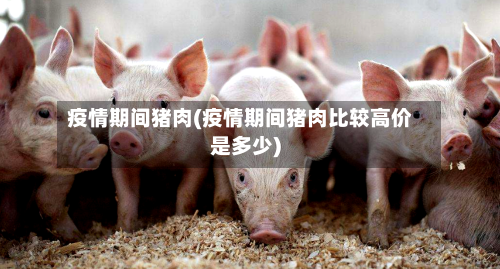 疫情期间猪肉(疫情期间猪肉比较高价是多少)
