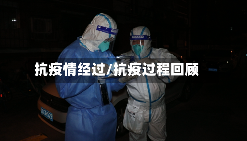 抗疫情经过/抗疫过程回顾