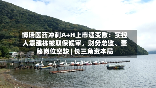 博瑞医药冲刺A+H上市遇变数：实控人袁建栋被取保候审，财务总监、董秘岗位空缺 | 长三角资本局
