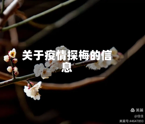 关于疫情探梅的信息