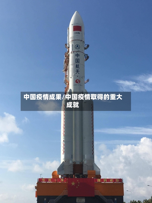中国疫情成果/中国疫情取得的重大成就