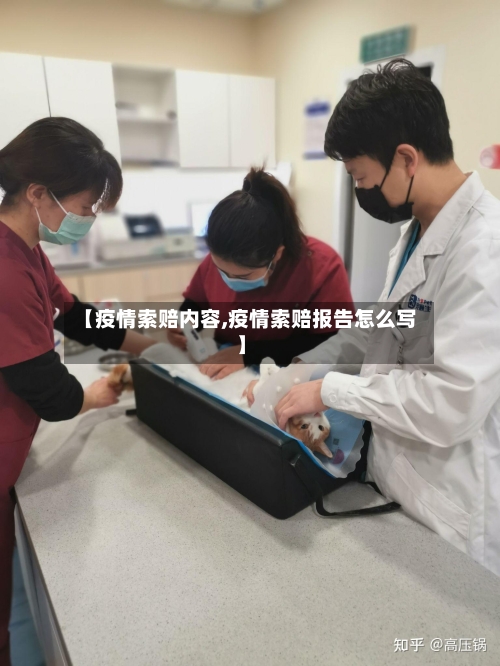 【疫情索赔内容,疫情索赔报告怎么写】