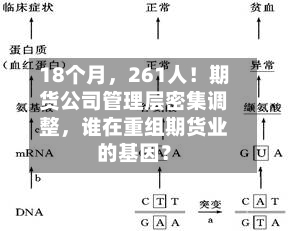 18个月，261人！期货公司管理层密集调整，谁在重组期货业的基因？