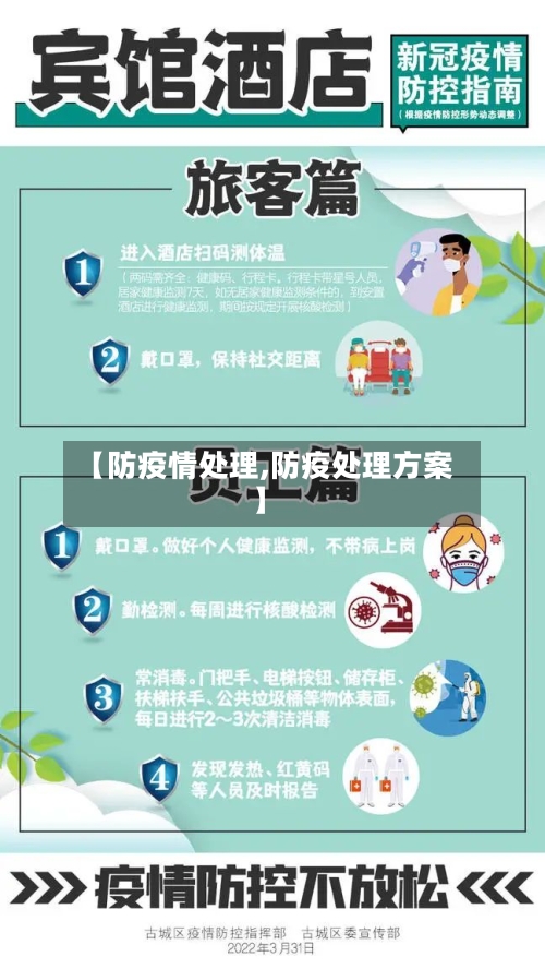 【防疫情处理,防疫处理方案】