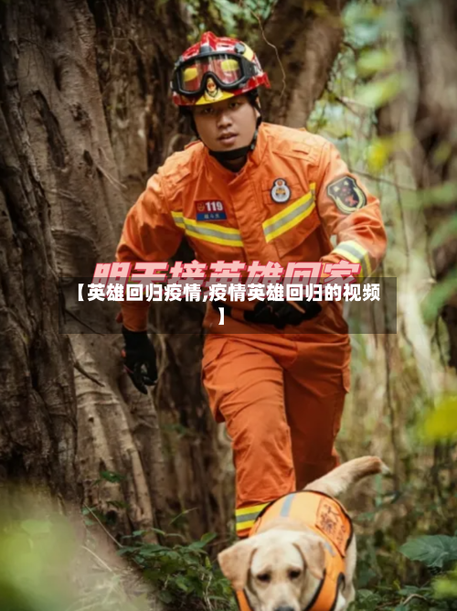【英雄回归疫情,疫情英雄回归的视频】