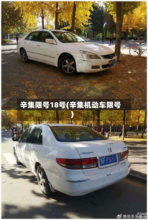 辛集限号18号(辛集机动车限号)
