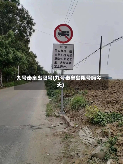 九号秦皇岛限号(九号秦皇岛限号吗今天)