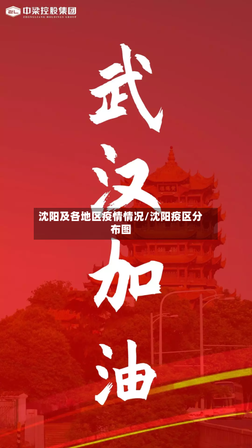 沈阳及各地区疫情情况/沈阳疫区分布图