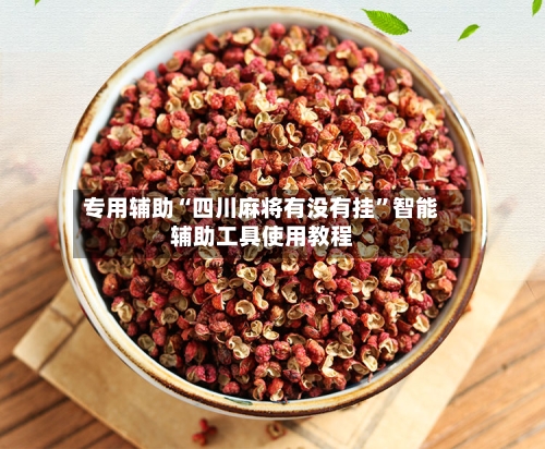 专用辅助“四川麻将有没有挂”智能辅助工具使用教程