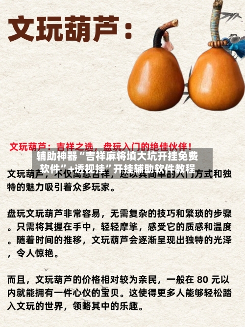 辅助神器“吉祥麻将填大坑开挂免费软件”+透视挂”开挂辅助软件教程