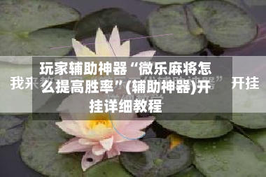 玩家辅助神器“微乐麻将怎么提高胜率”(辅助神器)开挂详细教程
