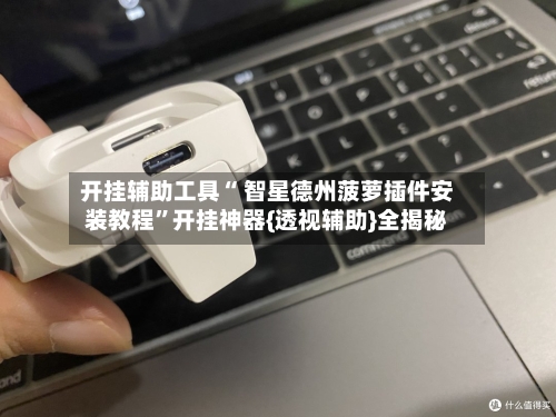 开挂辅助工具“ 智星德州菠萝插件安装教程”开挂神器{透视辅助}全揭秘