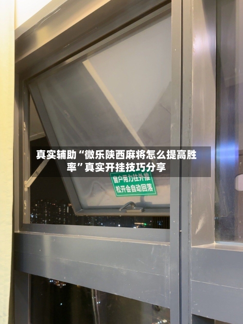 真实辅助“微乐陕西麻将怎么提高胜率”真实开挂技巧分享
