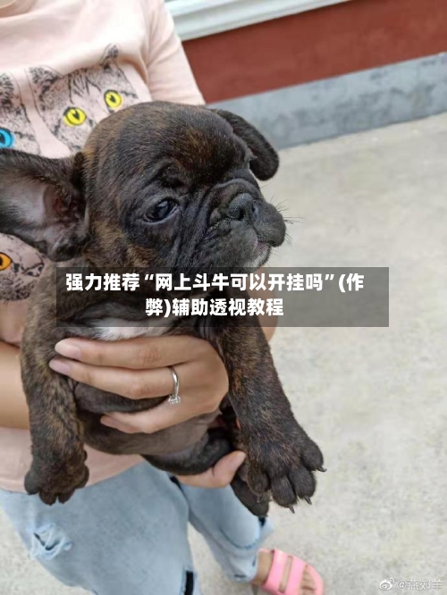 强力推荐“网上斗牛可以开挂吗”(作弊)辅助透视教程