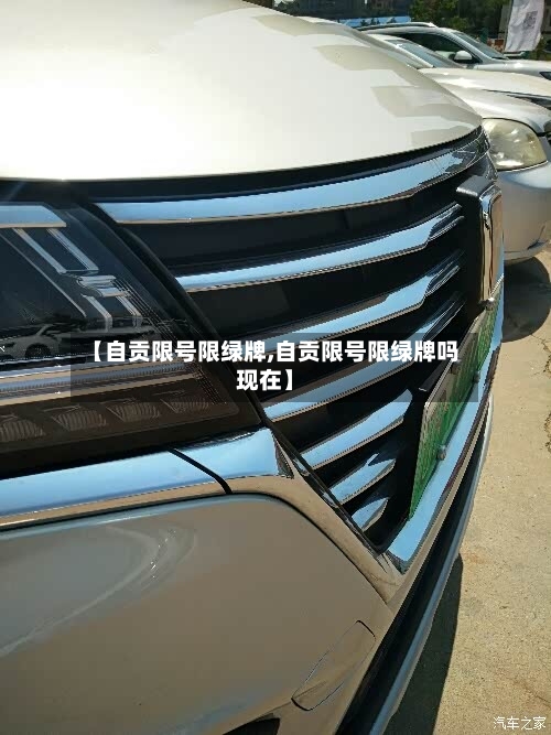 【自贡限号限绿牌,自贡限号限绿牌吗现在】