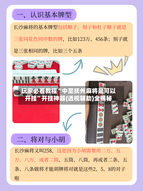 玩家必看教程“中至抚州麻将是可以开挂”开挂神器{透视辅助}全揭秘