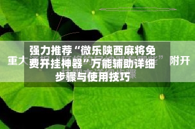 强力推荐“微乐陕西麻将免费开挂神器”万能辅助详细步骤与使用技巧