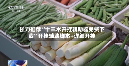 强力推荐“十三水开挂辅助器免费下载”开挂辅助脚本+详细开挂