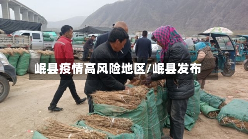 岷县疫情高风险地区/岷县发布