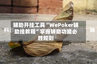 辅助开挂工具“WePoker辅助挂教程”掌握辅助功能必胜规则