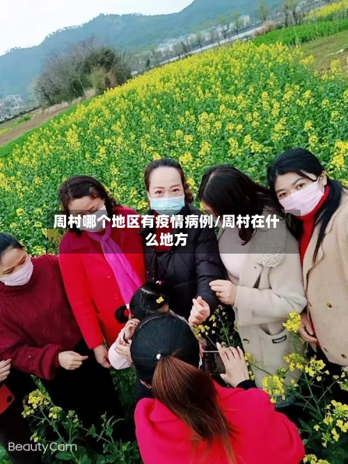 周村哪个地区有疫情病例/周村在什么地方