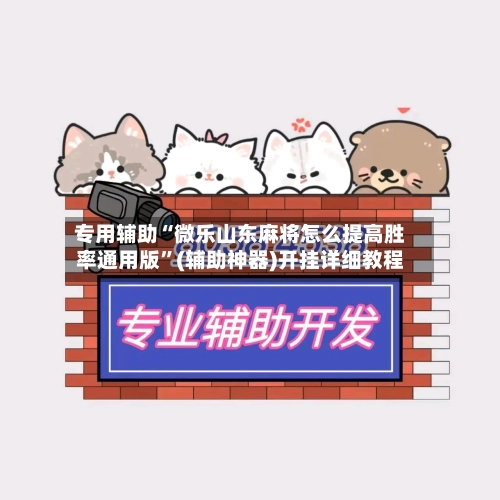 专用辅助“微乐山东麻将怎么提高胜率通用版”(辅助神器)开挂详细教程