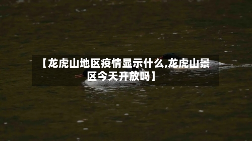 【龙虎山地区疫情显示什么,龙虎山景区今天开放吗】