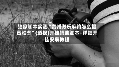 独家脚本实测“贵州微乐麻将怎么提高胜率”(透视)开挂辅助脚本+详细开挂安装教程