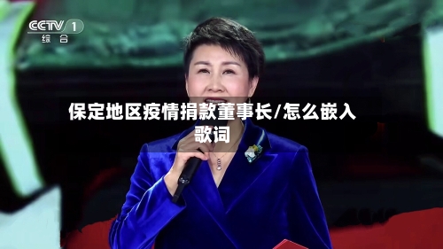 保定地区疫情捐款董事长/怎么嵌入歌词