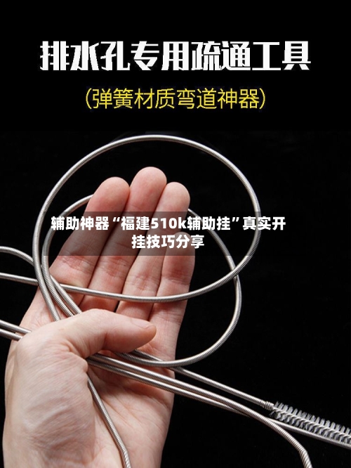 辅助神器“福建510k辅助挂”真实开挂技巧分享