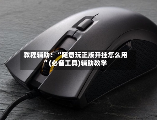 教程辅助！“随意玩正版开挂怎么用”(必备工具)辅助教学
