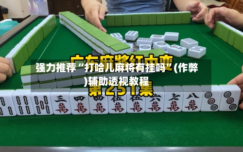 强力推荐“打哈儿麻将有挂吗”(作弊)辅助透视教程