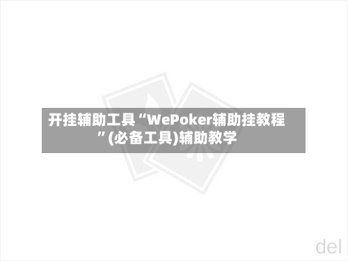 开挂辅助工具“WePoker辅助挂教程”(必备工具)辅助教学