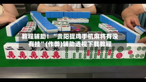 教程辅助！“贵阳捉鸡手机麻将有没有挂”(作弊)辅助透视下载教程