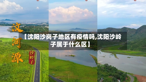 【沈阳沙岗子地区有疫情吗,沈阳沙岭子属于什么区】