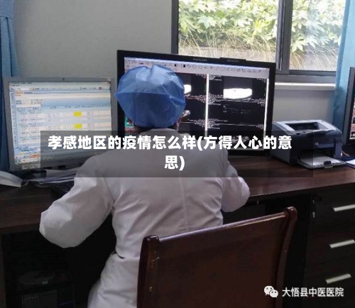 孝感地区的疫情怎么样(方得人心的意思)