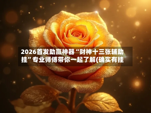 2026首发助赢神器“财神十三张辅助挂”专业师傅带你一起了解(确实有挂
