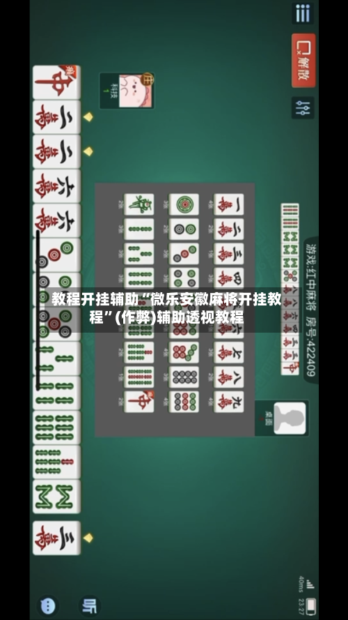 教程开挂辅助“微乐安徽麻将开挂教程”(作弊)辅助透视教程