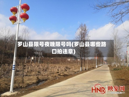 罗山县限号夜晚限号吗(罗山县哪些路口拍违章)