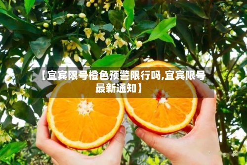 【宜宾限号橙色预警限行吗,宜宾限号最新通知】