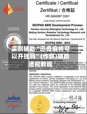 实测辅助“迅奇麻将可以开挂吗”(作弊)辅助透视教程