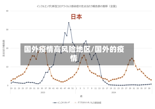 国外疫情高风险地区/国外的疫情