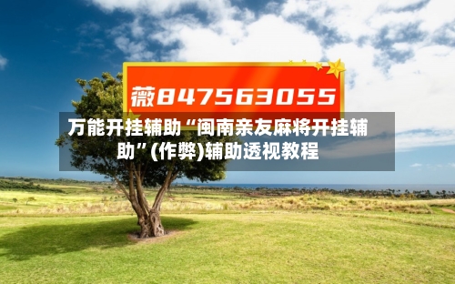 万能开挂辅助“闽南亲友麻将开挂辅助”(作弊)辅助透视教程