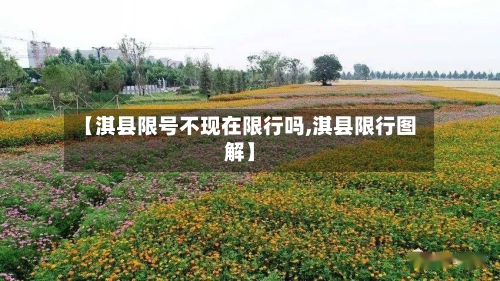 【淇县限号不现在限行吗,淇县限行图解】