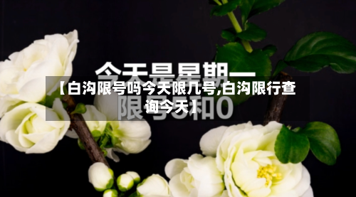 【白沟限号吗今天限几号,白沟限行查询今天】
